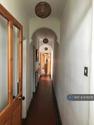3 bedroom house share to rent