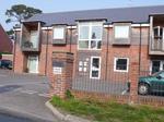 1 bedroom ground floor flat to rent